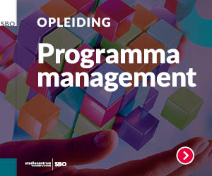 Opleiding Programma Management voor overheid en non-profit